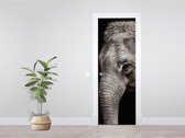 Luxe Deursticker Olifant zwart-wit - grijs|zwart - Sticky Decoration - deurposter - decoratie - woonaccesoires - op maat voor jouw deur