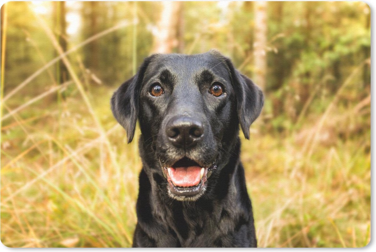 Muismat Honden - Gelukkige zwarte hond muismat rubber - 60x40 cm - Muismat met foto