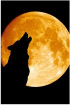 Poster – Silhouette van Wolf bij Maan - 60x90cm Foto op Posterpapier