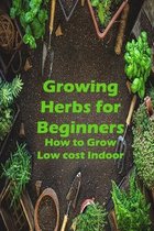 Growing Herbs for Beginners: How to Grow Low cost Indoor