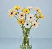 Bloom Makery - Frisse Favoriet - Bloemen - Boeket- 18 Gerbera's