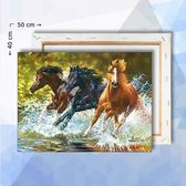 Schilderen op nummer pakket Galopperende paarden in Water- 40 x 50 cm - met frame