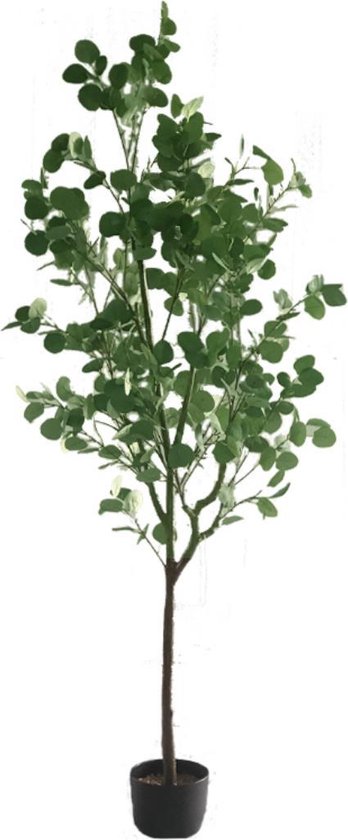 Eucalyptus Kunstplant cm | Eucalyptus | Grote |... | bol.com