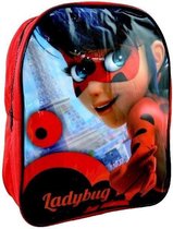 Miraculous Ladybug & Cat Noir Rugzak Rugtas School Tas 2-5 Jaar Rood