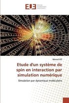 Etude d'un système de spin en interaction par simulation numérique