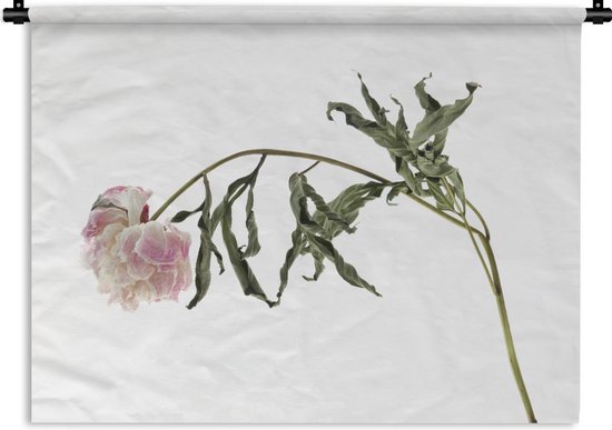 Tapisserie Fleurs séchées - Wit avec fleur séchée rose sur fond blanc  Tapisserie coton... | bol.com