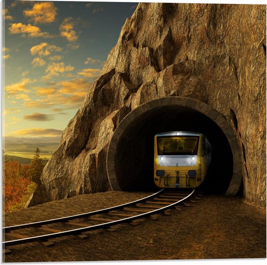 Acrylglas - Trein door Tunnel - 50x50cm Foto op Acrylglas (Met Ophangsysteem)