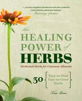 The Healing Power of Herbs: Medicinal Herbs for Common Ailments