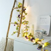 TDR - led lichtsnoer rotan bloemlicht (lichtpaars + diep paars) 2 meter 20 lampjes