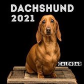 Dachshund 2021 Calendar: Cute Dachshund, Cute Dachshund Photos Monthly Calendar 12 Month Wall & Office Calendar, dog a day calendar 2021, dog c