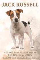 Jack Russell
