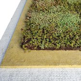 Groen Dak Compleet Lichtgewicht groen dak pakket (10 m2)