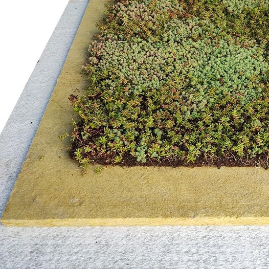 Close-up van sedumplanten op een groene dakopbouw met isolatiemateriaal.
