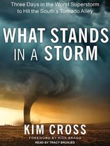 What Stands in a Storm