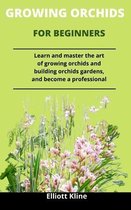 Growing Orchids For Beginners