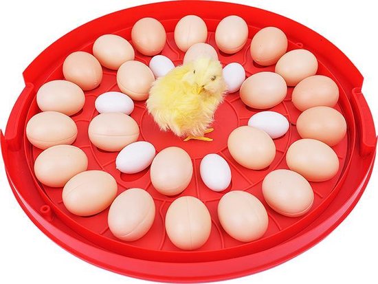 Broedmachine Automaat 30 Eieren met schouwlamp - Merkloos