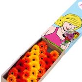 Berbera GROOT Kleurenmix x30 Verse snijbloemen 40-50cm