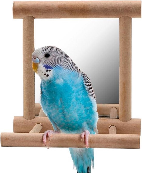 Miroir avec perche pour perruches - oiseaux | bol.com