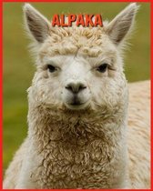 Alpaka