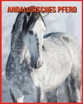 Andalusisches Pferd