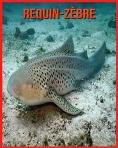 Requin-Zebre