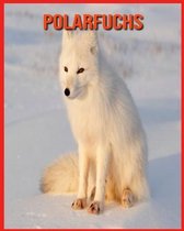 Polarfuchs