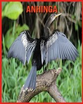 Anhinga