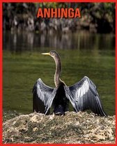 Anhinga