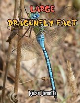 Large Dragonfly Fact