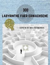 300 Labyrinthe Fuer Erwachsene Einfach Bis Extremes