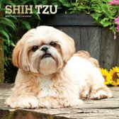 Shih Tzu 2022 Square