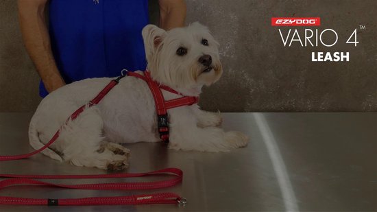 Ezydog vario 6 cheap