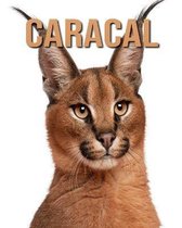 Caracal