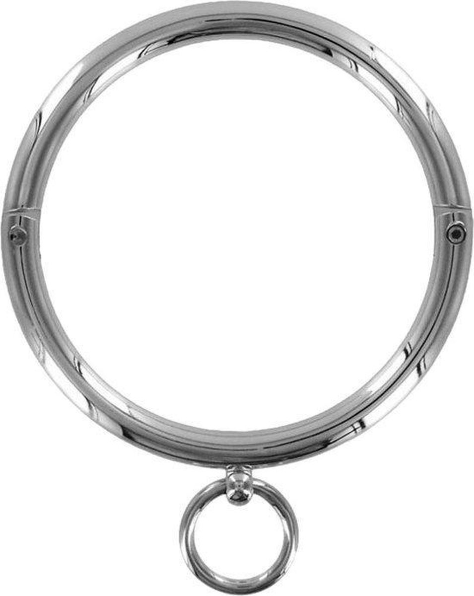 Goedkoopste Halsband RVS met ring