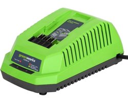Greenworks Gereedschapsaccu 29417