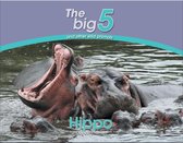 The Big 5 and other wild animals - Hippo