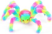 Harige Spin “Regenboog” 40 cm