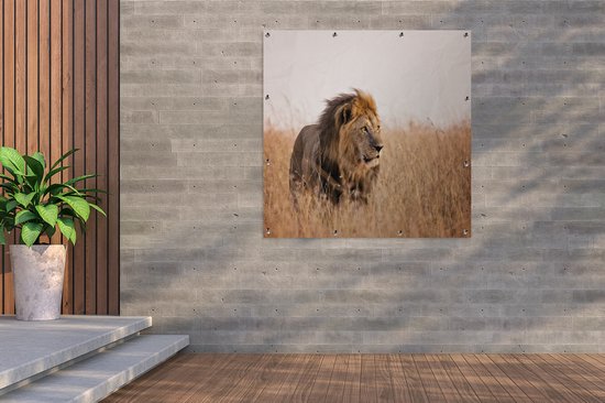 Lion regarde la lumière du soleil au Kenya affiche de jardin toile lâche