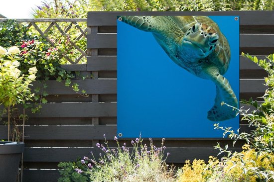Toile de jardin Impression photo contact visuel avec tortue - 100x100 cm