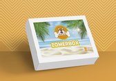 Paws Up Zomerbox - Hondensurprise - Hondenspeeltjes - hondensnacks - hondenaccessoires