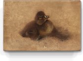 eendenkuiken - Bruno Liljefors - 30 x 19,5 cm - Niet van echt te onderscheiden schilderijtje op hout - Mooier dan een print op canvas - Laqueprint.