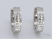 Chirurgisch staal Ooroorringen zilverkleur met dubbel rijen strass steentjes Ø 16mm.