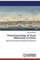 Phenomenology of Trust Behaviour in China
