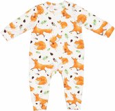 Misioo Boxpakje Foxes - Kinderkleding - Jongen - meisje - kraamcadeau - kwaliteit kleding - vos - dieren - maat 56/62