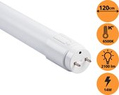 Tube fluorescent LED Proventa Longlife 120 cm avec starter - Blanc froid 6500 K - 14W - 2100 lm - T8 G13