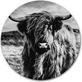 Wandcirkel Schotse Hooglander Zwart Wit op hout - WallCatcher | Multiplex 80 cm rond | Houten muurcirkel Highlander