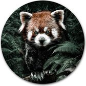 Wandcirkel Kleine Panda op hout - WallCatcher | Multiplex 60 cm rond | Houten muurcirkel Red Panda