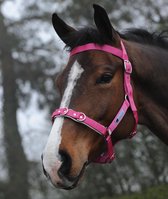 Kincade Paarden Halster Cavesson Gewatteerd - Hot Pink - Maat Full