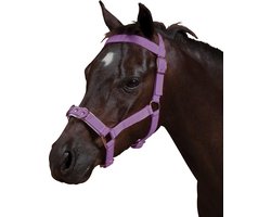 Kincade Paarden Halster Cavesson Gewatteerd - Paars - Maat Full