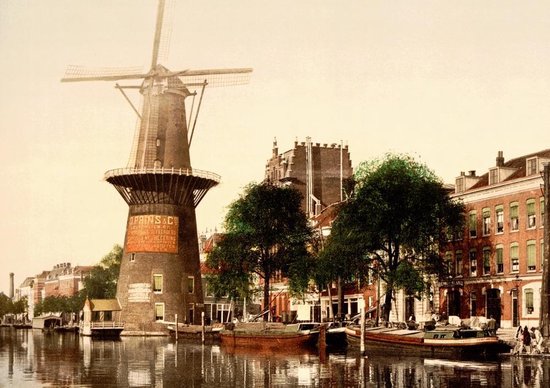 Oud Stadsgezicht Rotterdam Coolsingel - Molen aan de Coolvest - Oude Foto Print op Poster A1 84x59cm